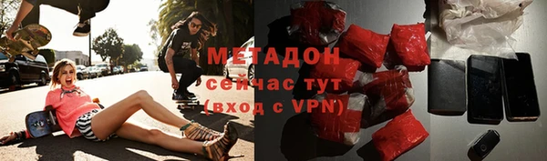 прущие грибы Няндома
