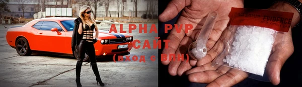 прущие грибы Няндома