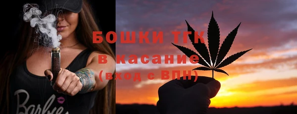 прущие грибы Няндома