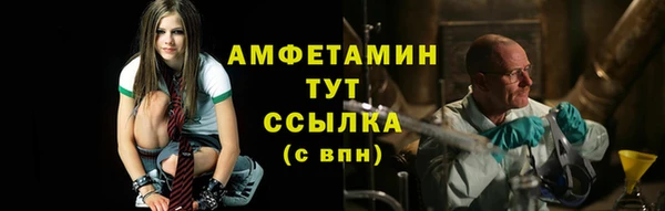 прущие грибы Няндома