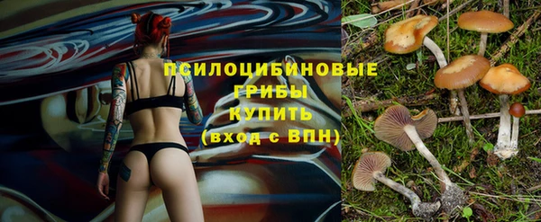 винт Нягань