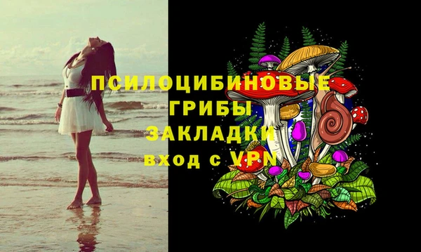 прущие грибы Няндома