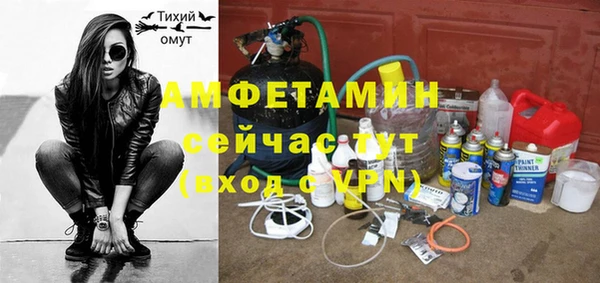 прущие грибы Няндома