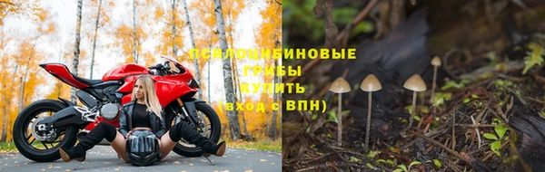 бутират Нязепетровск