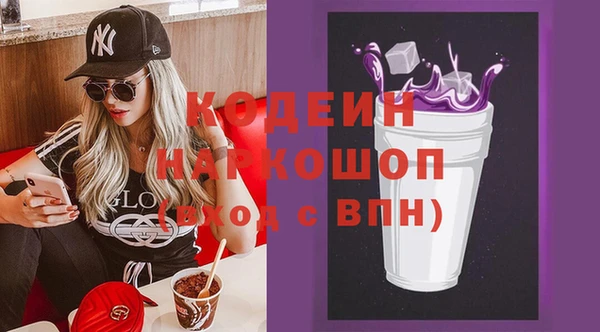 прущие грибы Няндома