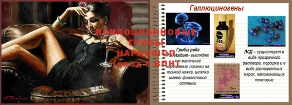 прущие грибы Няндома