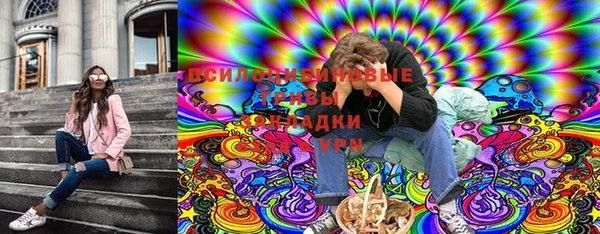 прущие грибы Няндома