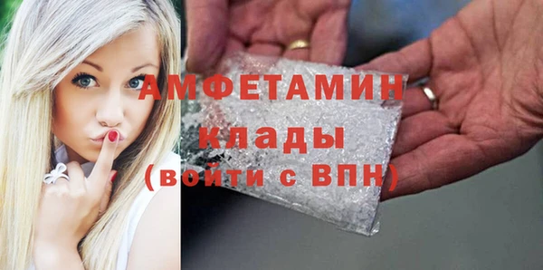 индика Новодвинск