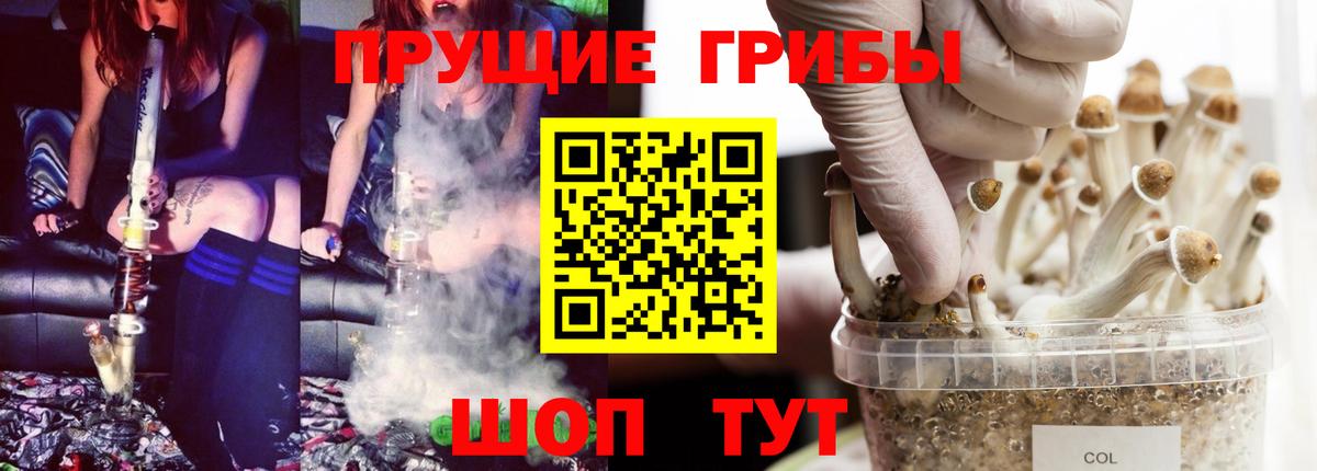 Псилоцибиновые грибы прущие грибы  Галлюциногенные грибы Psilocybe  Вход с VPN  Находка 